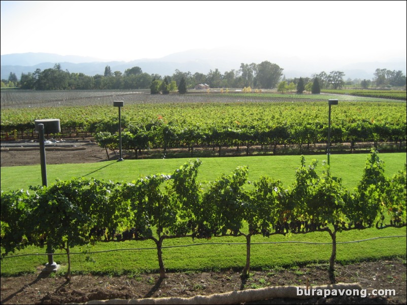 Mumm Napa.