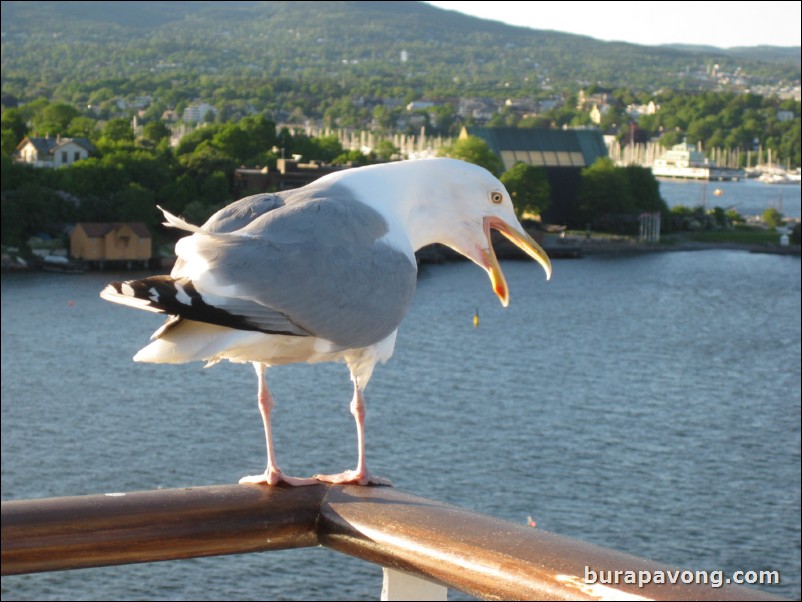 Sailing away from Oslo.