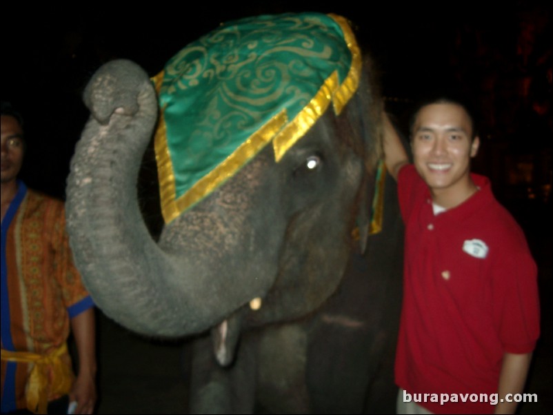 A baby elephant, Phuket FantaSea.