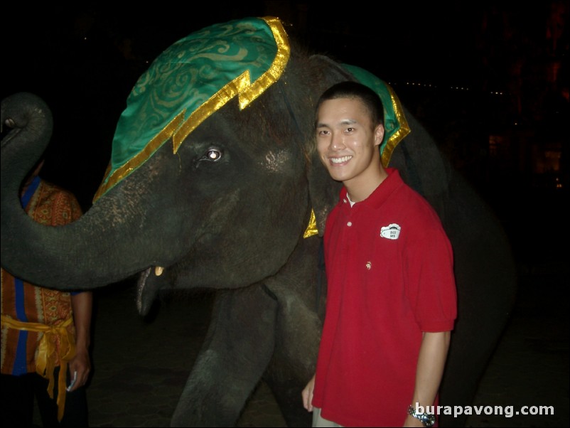 A baby elephant, Phuket FantaSea.