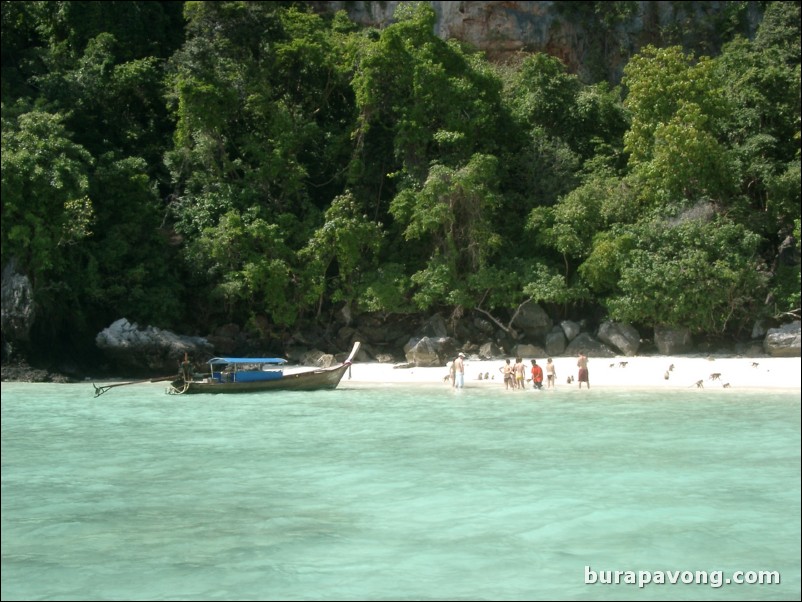 Monkeys on the beach around Phi Phi Island.