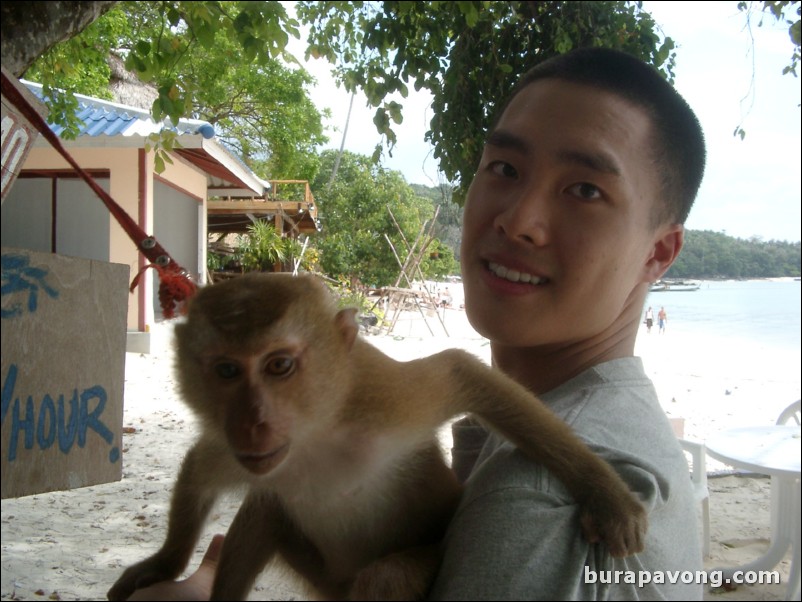 Messing around with a monkey on Phi Phi Island.