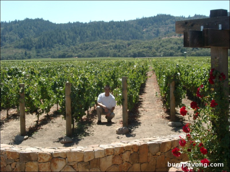 Robert Mondavi Vineyards in the Napa Valley.