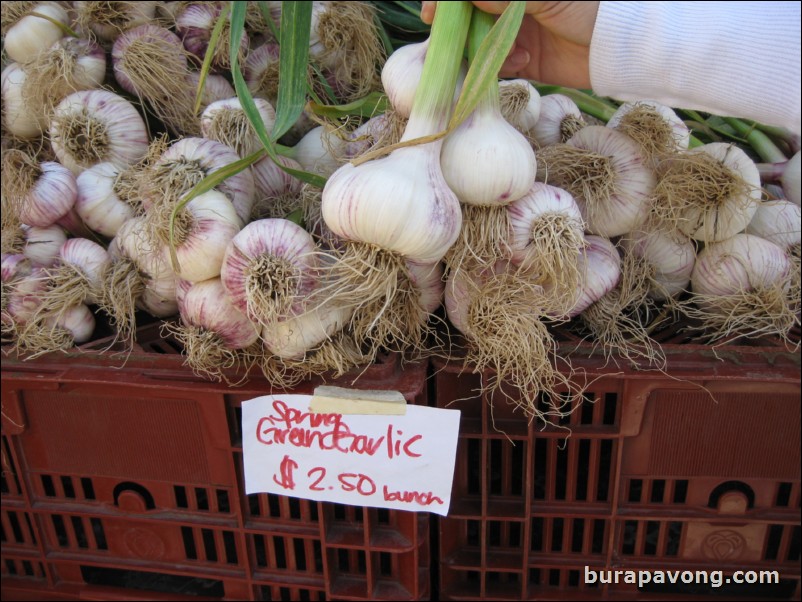 Ferry Plaza Farmers Market.