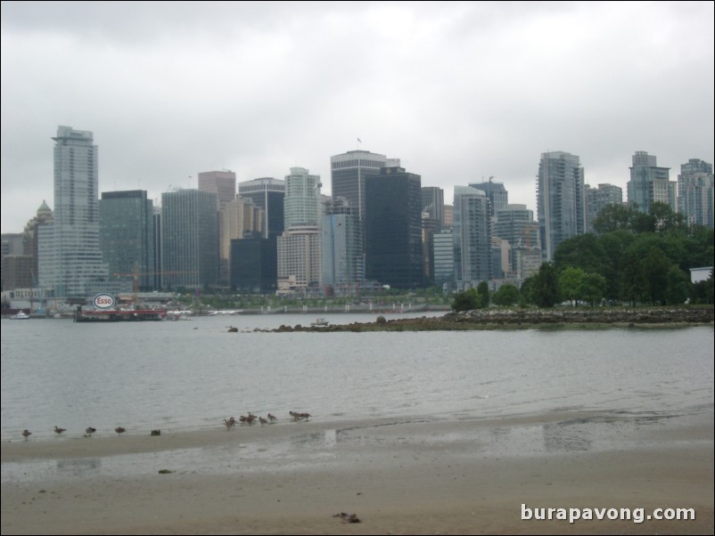 View of downtown Vancouver from Stanley Park.