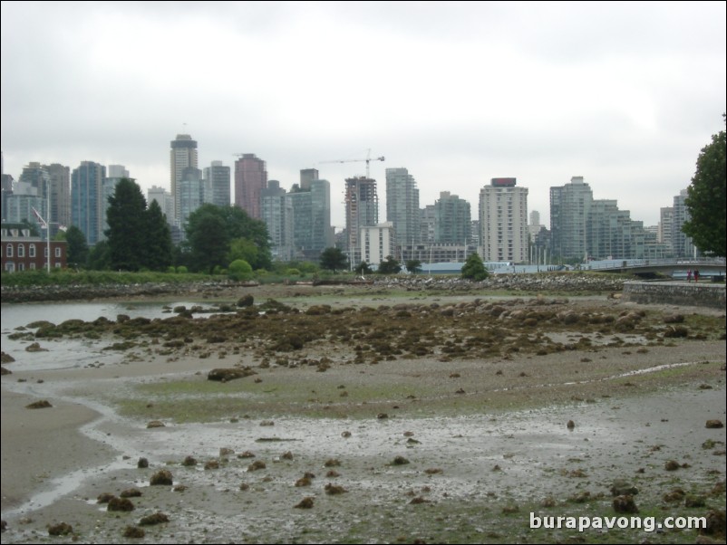 View of downtown Vancouver from Stanley Park.